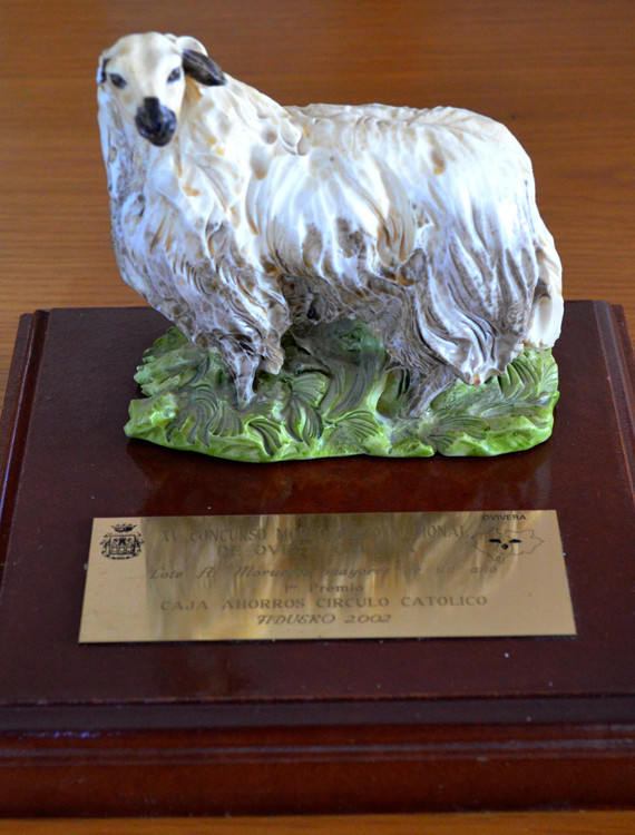 Fiduero 2002 Primer Premio